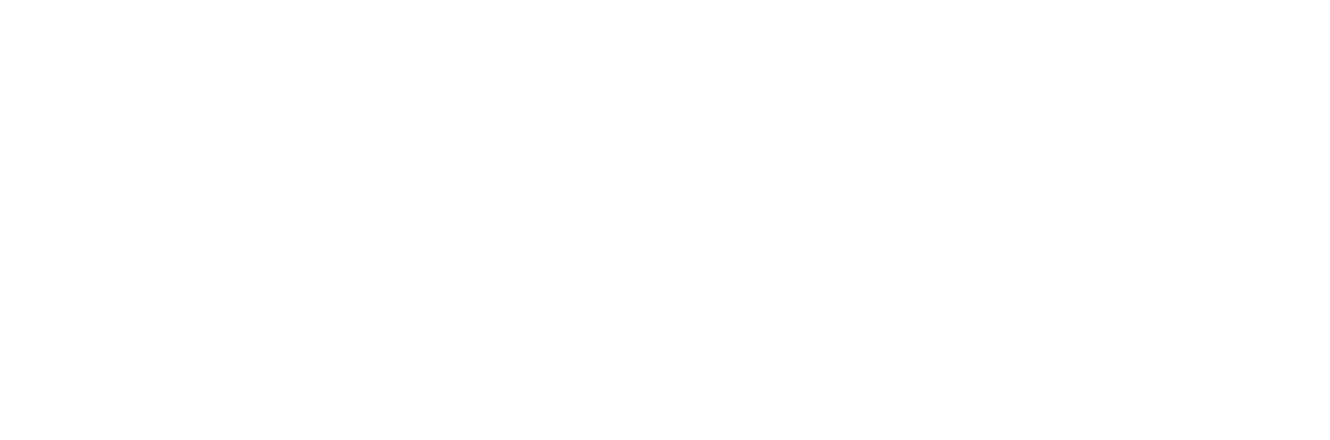 DUNGEONS AND DRAGONGS