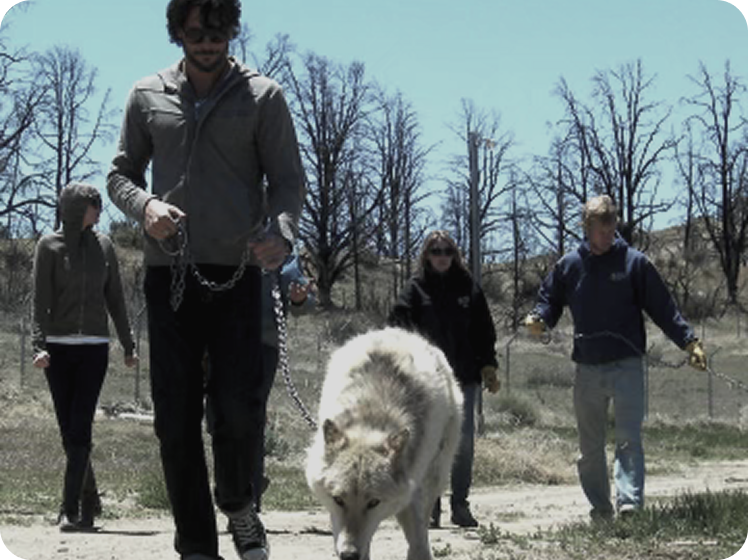 Joe with Co-Star Thunder